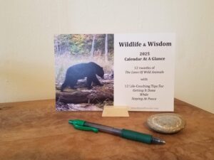 2025 Wildlife & Life Coaching Desk Calendar